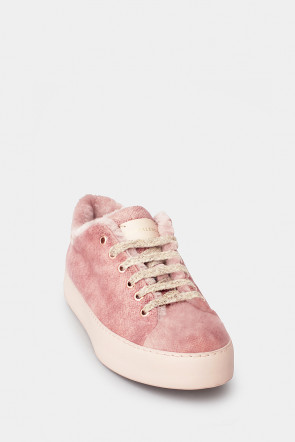 Женские кеды Camerlengo розовые - CM16060r